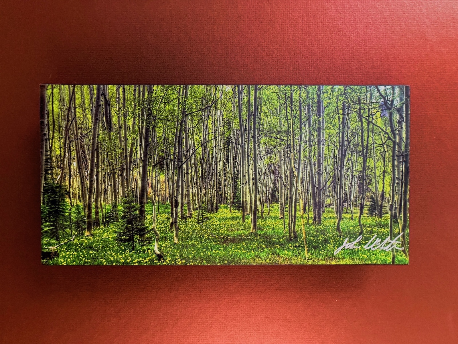 Float with Red Background Forest