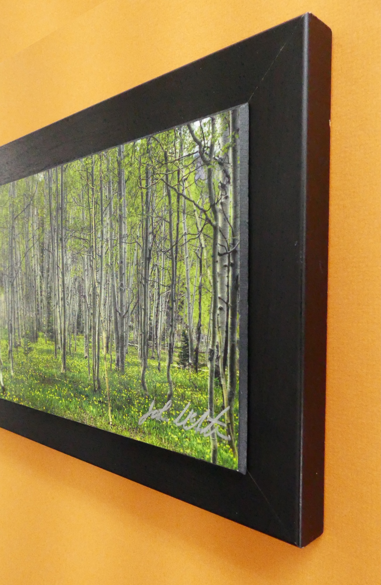 UnFrame Angle Right Partial Forest